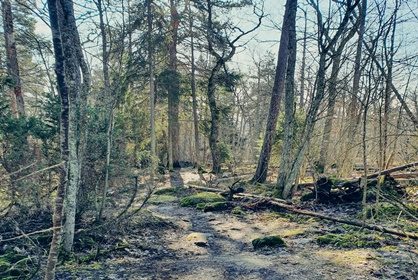 Lähiretkeily avartaa