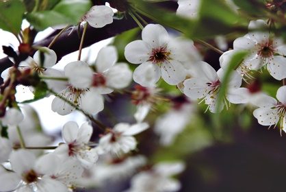 Slow-fashion liivimekko Kontista