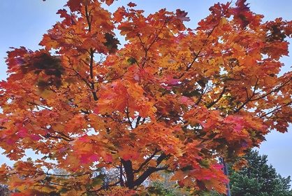 Tiedättekö ne päivät?