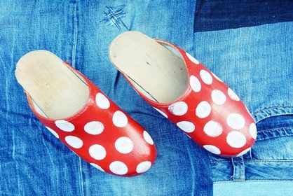 Kärpässienet jalkoihin