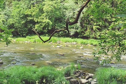 Kesäpäivä Laitakarien tapaan