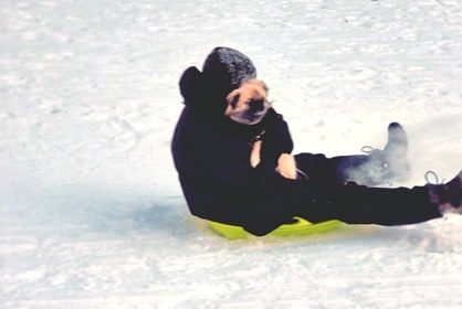 Miksi meillä on aina koirat mukana?