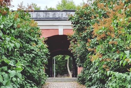 Suomenlinnassa sattuu ja tapahtuu