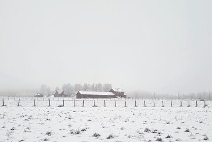 Rento sunnuntai Haltialan kotieläintilalla
