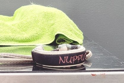 Vapaata töistä koiran vuoksi?