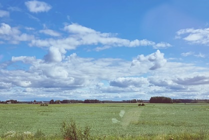 Elämää pelkokoirien kanssa