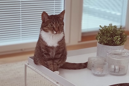 Postikortteja matkalta