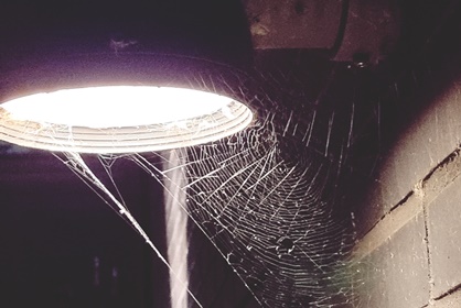 Random kuvia viikolta