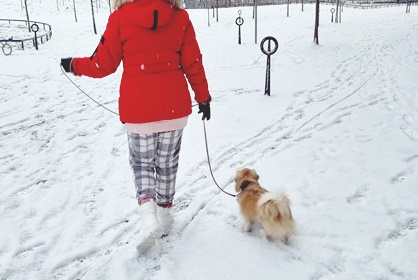 Se oli sitten siinä