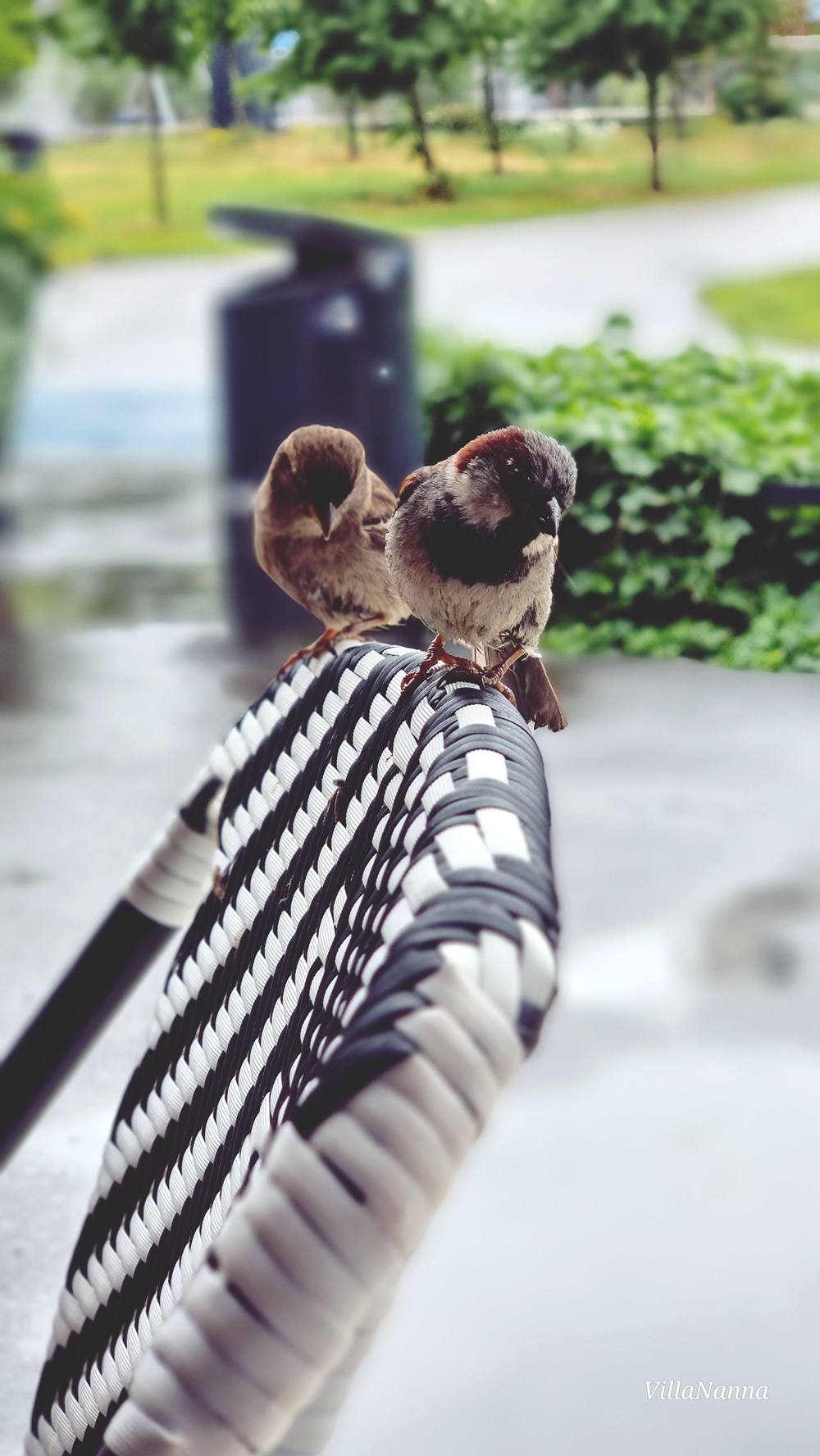 Viime vuonna tehty paita