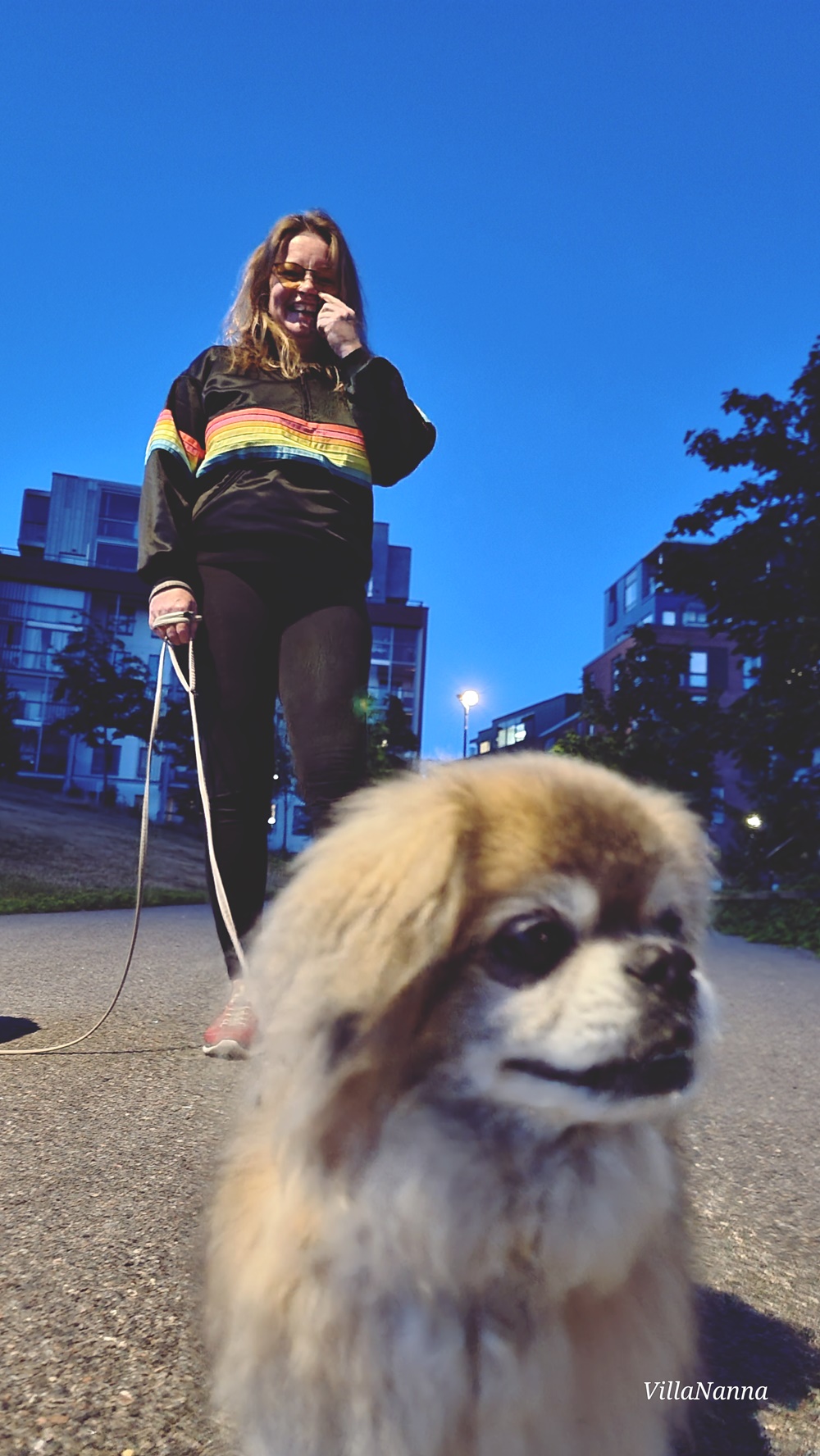 Kirppistely on aarteenetsintää