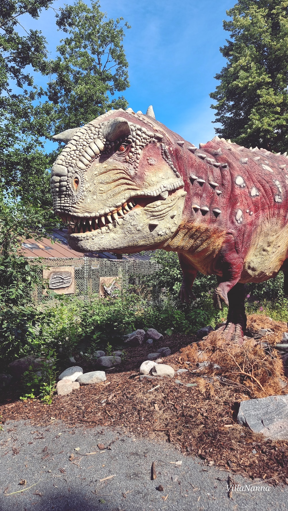 Perhepäivä Korkeasaaressa