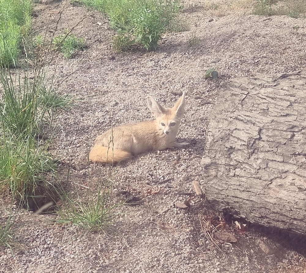 Perhepäivä Korkeasaaressa
