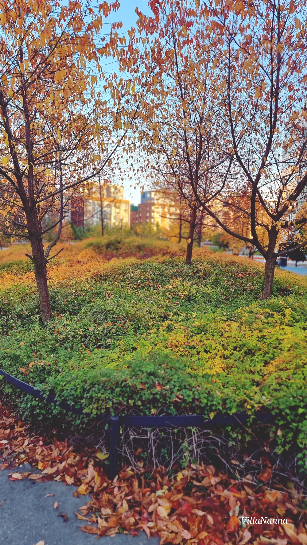 Kantakaupungin ruskaa