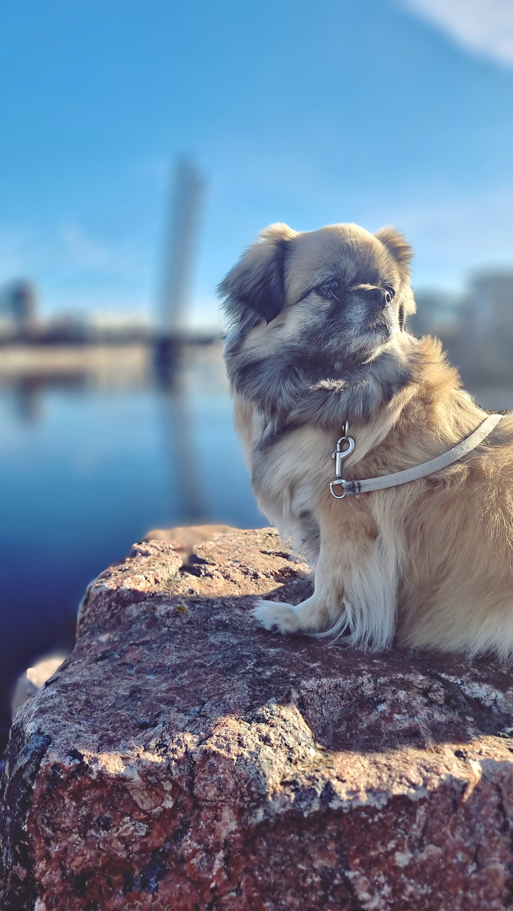 Viikko sitten paistoi aurinko