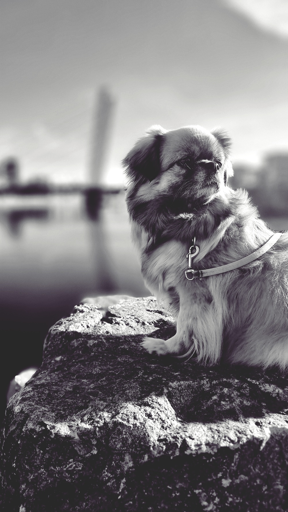 Viikko sitten paistoi aurinko