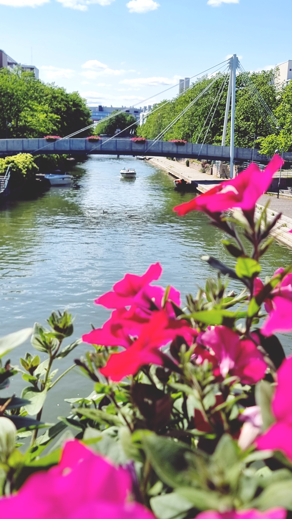 Kaupunkijuhannus on meille se oikea juhannus