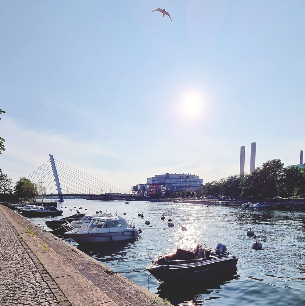 Terassituuli kuiskaa meren suuntaan