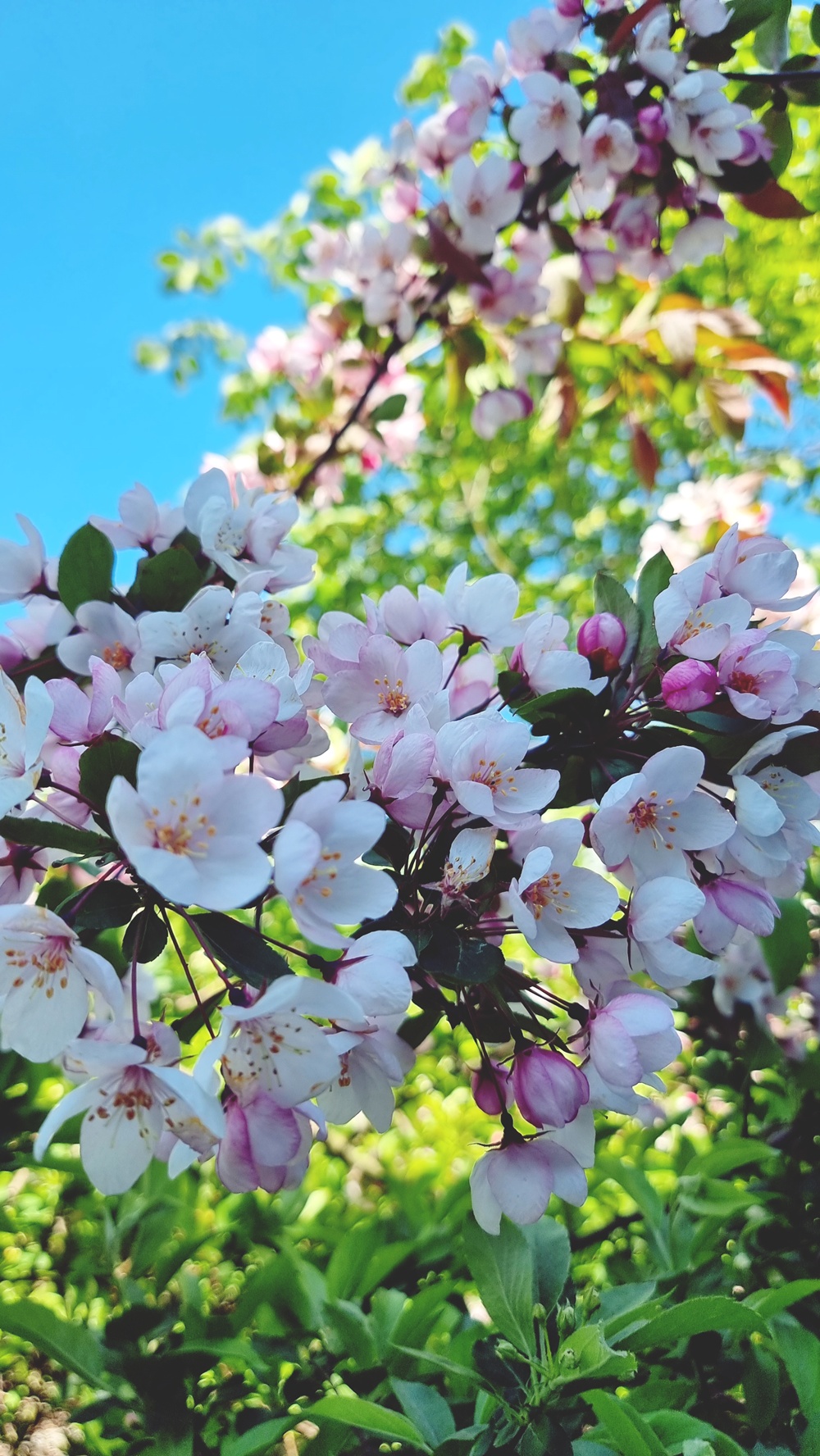 Hyvästit kesälomalle