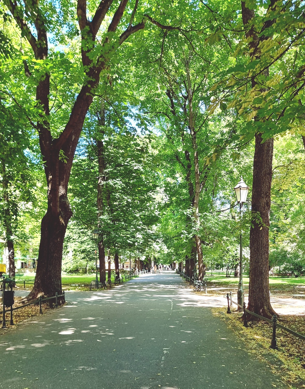 Krakovan kohtalokas hellepäivän houkutus