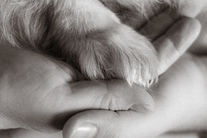 Ikikukkakedon tuoksuissa: Muistopostaus rakkaasta Nupusta 