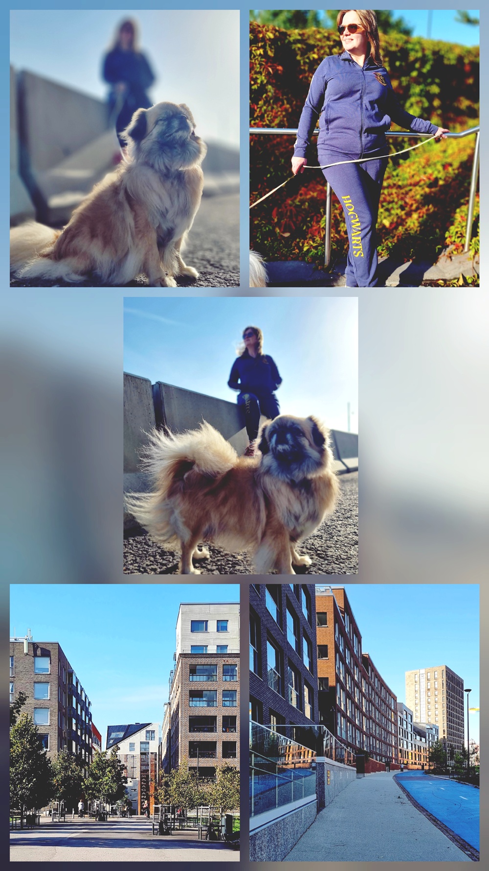 Hogwarts-verryttelyasu ja aurinkoinen syyspäivä Jätkäsaaressa